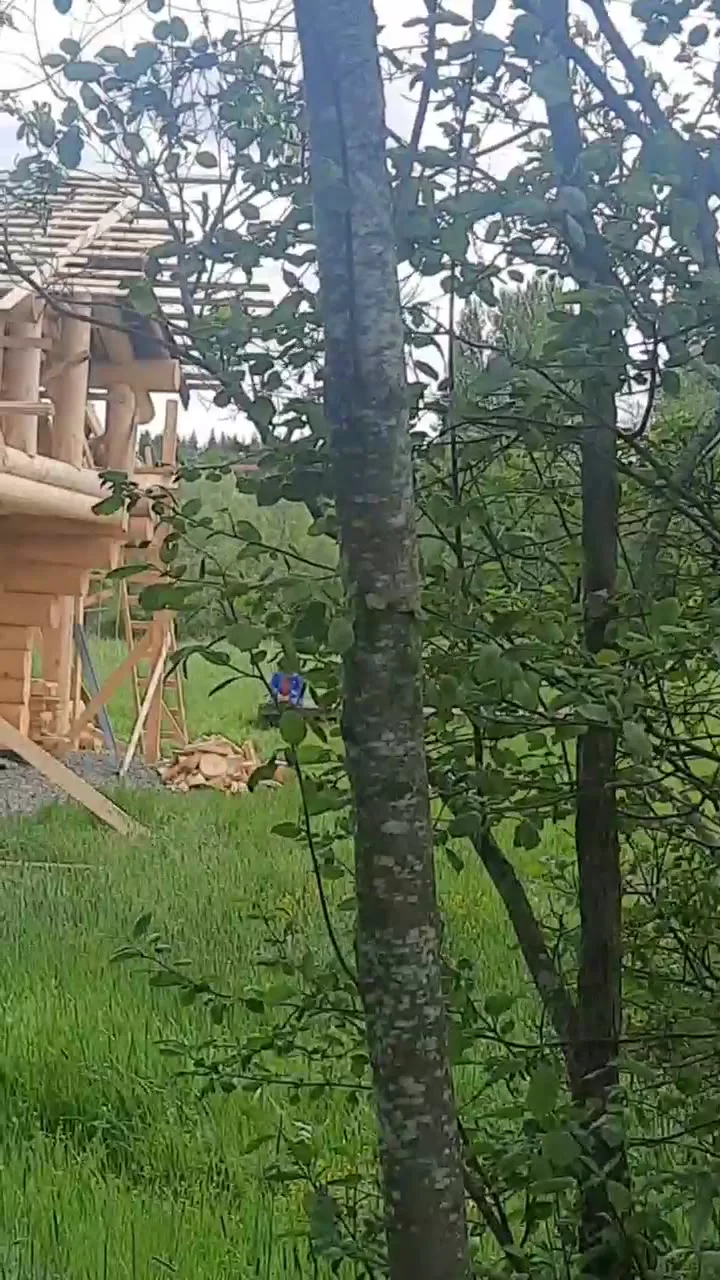 Живые объекты — видео стройки 3